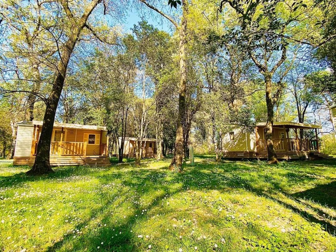 Bourg-Saint-Andéol Camping Du Lion מראה חיצוני תמונה
