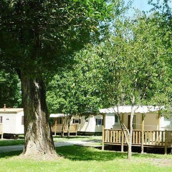 Bourg-Saint-Andéol Camping Du Lion מראה חיצוני תמונה