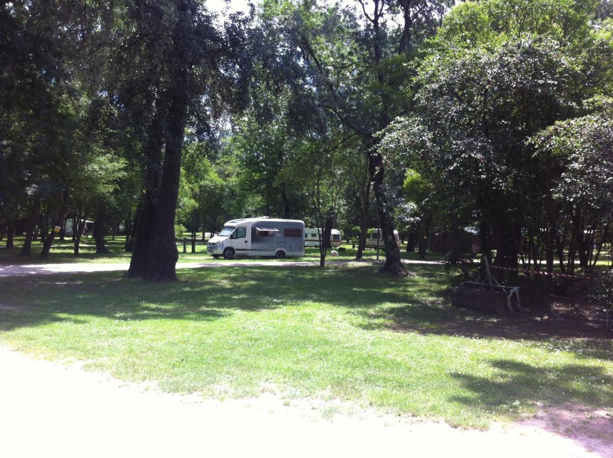 Bourg-Saint-Andéol Camping Du Lion מראה חיצוני תמונה