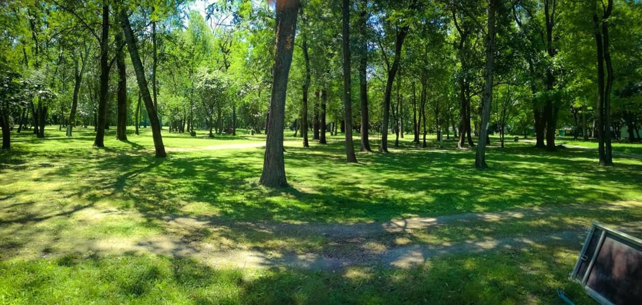 Bourg-Saint-Andéol Camping Du Lion מראה חיצוני תמונה