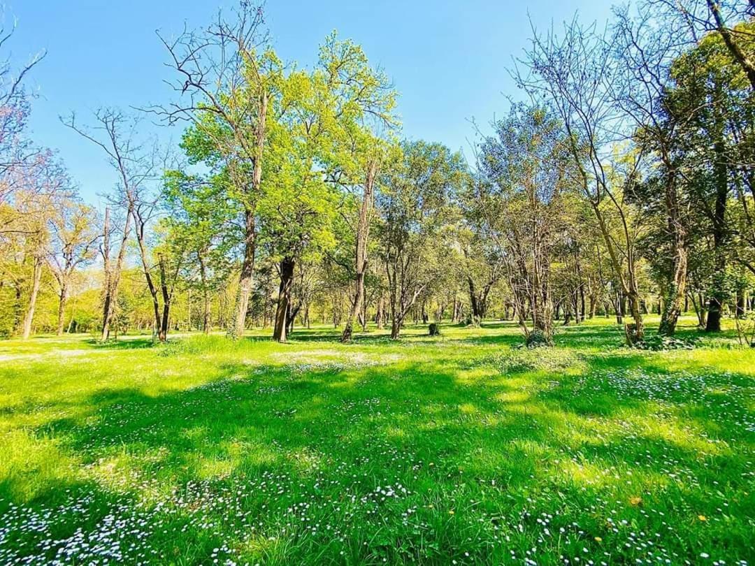Bourg-Saint-Andéol Camping Du Lion מראה חיצוני תמונה